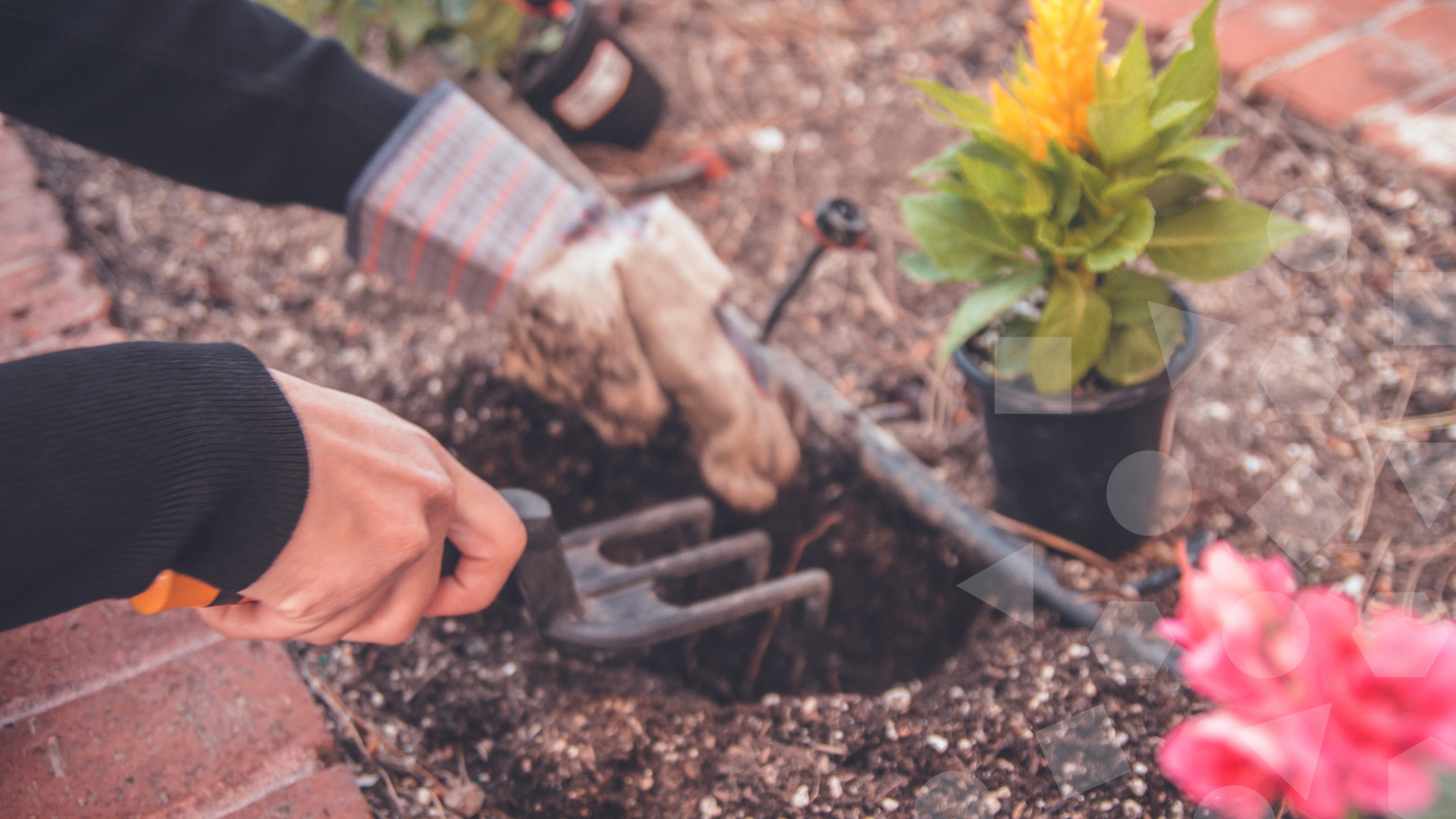 Aegis Alfred Carson Lodge